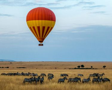Balloon Over Savanna — 300-piece jigsaw puzzle
