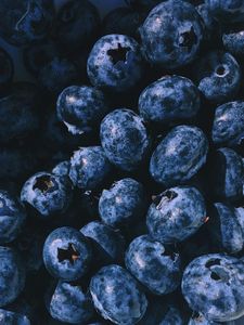 Juicy Blueberries — 500-piece jigsaw puzzle