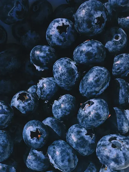 Juicy Blueberries — 500-piece jigsaw puzzle
