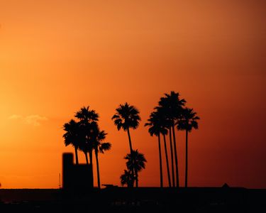 Tropical Sunset Silhouette — 500-piece jigsaw puzzle