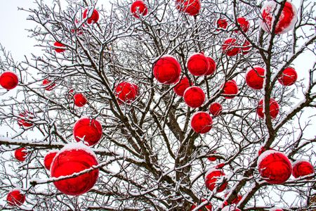 Winter Red Ornaments — 200-piece jigsaw puzzle