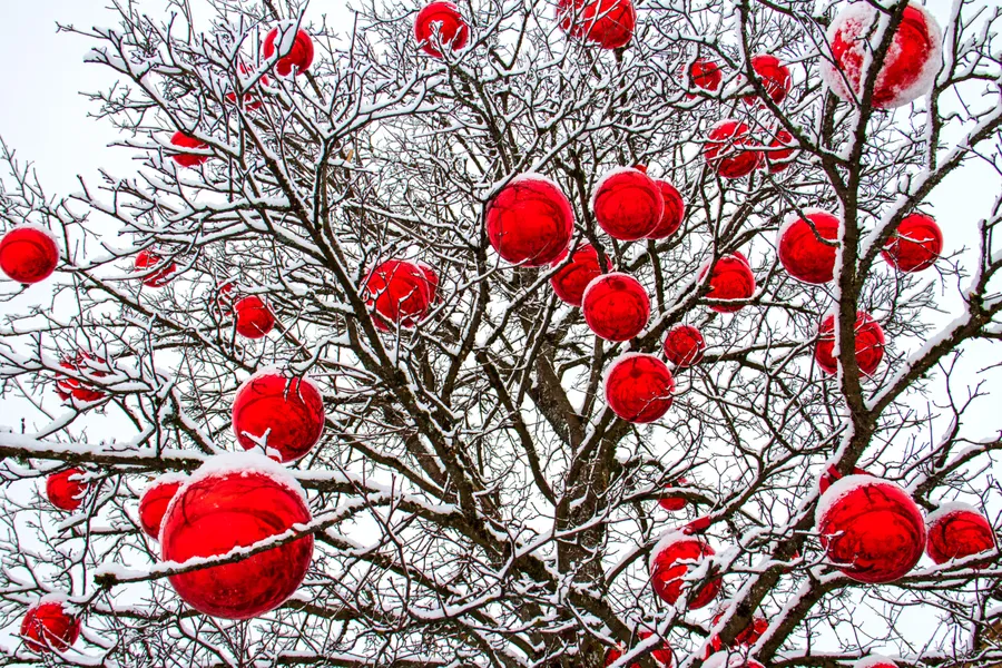 Winter Red Ornaments — 200-piece jigsaw puzzle