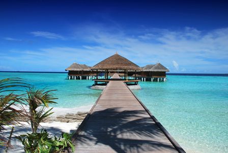 Tropical Island Retreat — 200-piece jigsaw puzzle