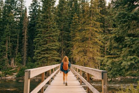 Journey Through Pines — 400-piece jigsaw puzzle