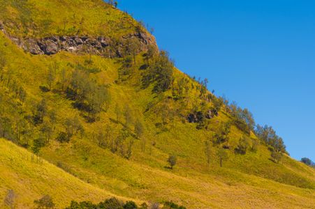 Verdant Hillside — 150-piece jigsaw puzzle
