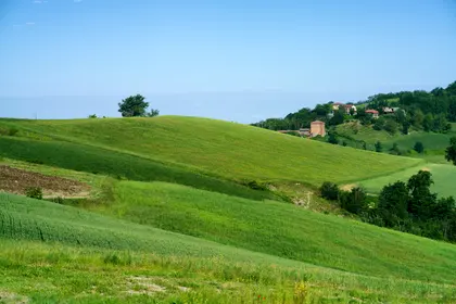 Rolling Green Hills — 200-piece jigsaw puzzle