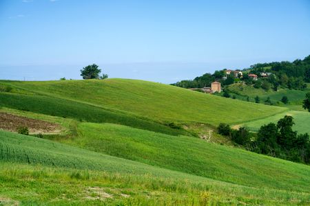 Rolling Green Hills — 200-piece jigsaw puzzle