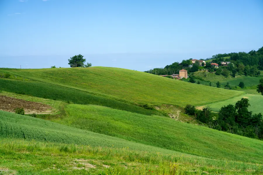 Rolling Green Hills — 200-piece jigsaw puzzle