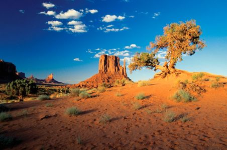 Monument Valley Vista — 64-piece jigsaw puzzle