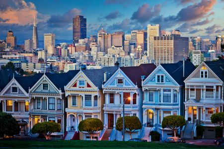 Charming Painted Ladies — 100-piece jigsaw puzzle