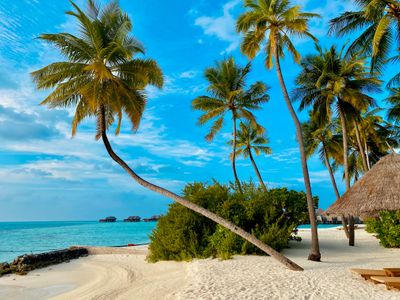 Tropical Beach Paradise — 200-piece jigsaw puzzle