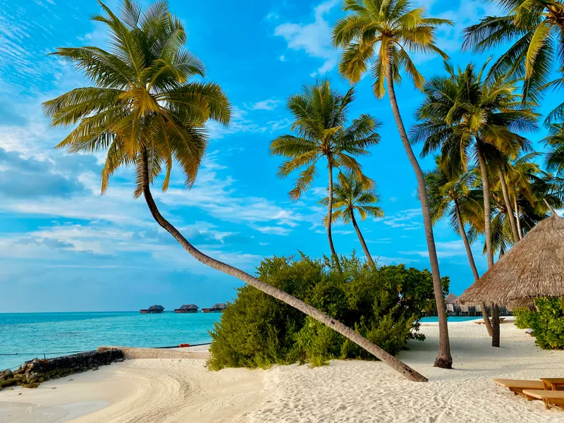 Tropisches Strandparadies — 200-Teile-Puzzle