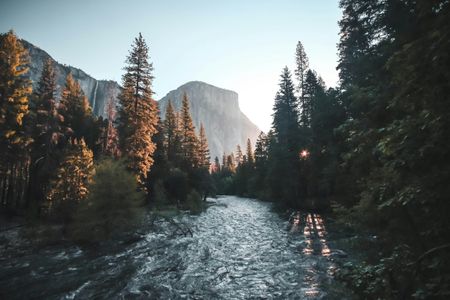 Golden Forest Dawn — 150-piece jigsaw puzzle