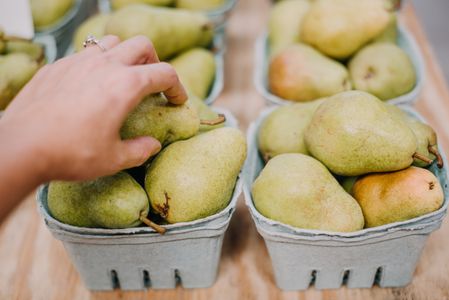 Selecting Fresh Pears — 400-piece jigsaw puzzle