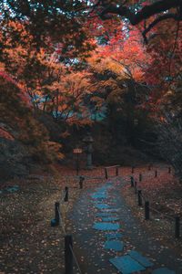 Autumn Pathway Serenity — 150-piece jigsaw puzzle