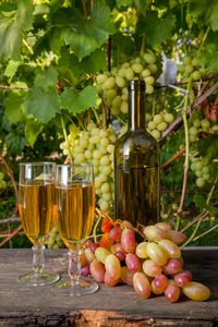 Harvest Celebration — 300-piece jigsaw puzzle