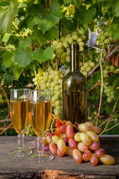 Harvest Celebration — 300-piece jigsaw puzzle