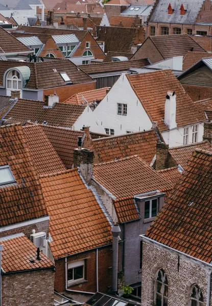 Charming Roofscape — 300-piece jigsaw puzzle