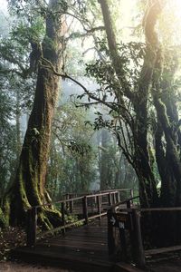 Misty Forest Pathway — 400-piece jigsaw puzzle
