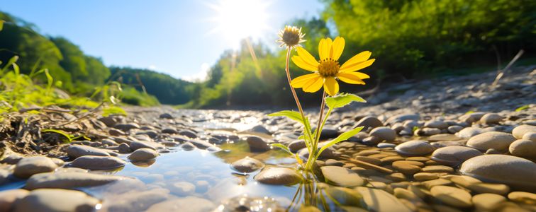 Flower by the Stream — 300-piece jigsaw puzzle