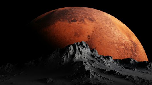 Martian Horizon — 100-piece jigsaw puzzle