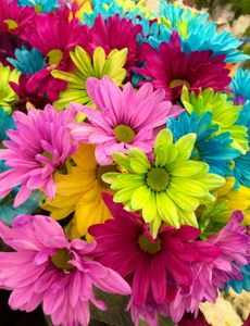 Vibrant Floral Symphony — 300-piece jigsaw puzzle