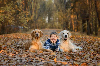 Autumn Companions — 300-piece jigsaw puzzle