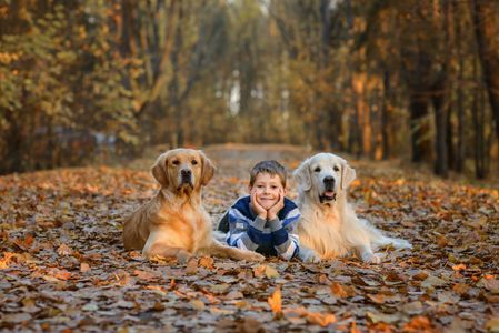 Autumn Companions — 300-piece jigsaw puzzle
