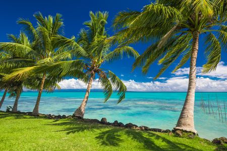 Tropical Paradise Coastline — 200-piece jigsaw puzzle