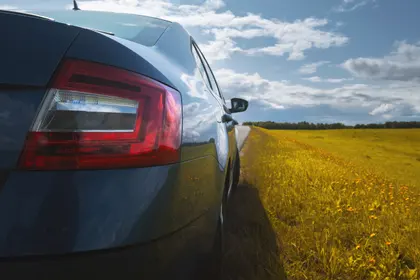 Roadside Reflection — 200-piece jigsaw puzzle
