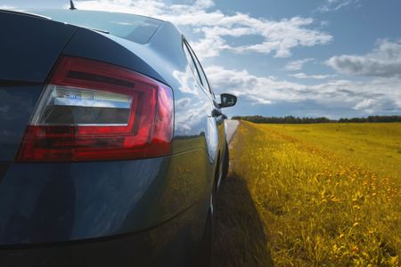 Roadside Reflection — 200-piece jigsaw puzzle