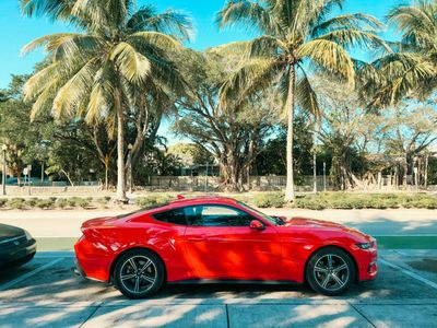 Red Coupe in Paradise — 200-piece jigsaw puzzle