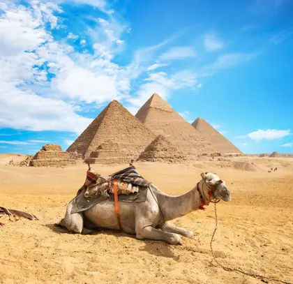 Camel by the Pyramids — 300-piece jigsaw puzzle