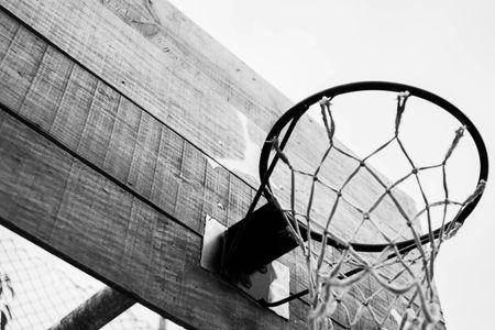 Rustic Basketball Hoop — 150-piece jigsaw puzzle