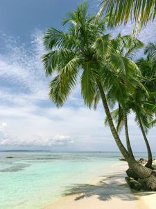 Tropical Paradise Escape — 500-piece jigsaw puzzle