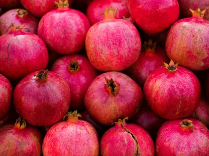 Vibrant Pomegranate Harvest — 300-piece jigsaw puzzle
