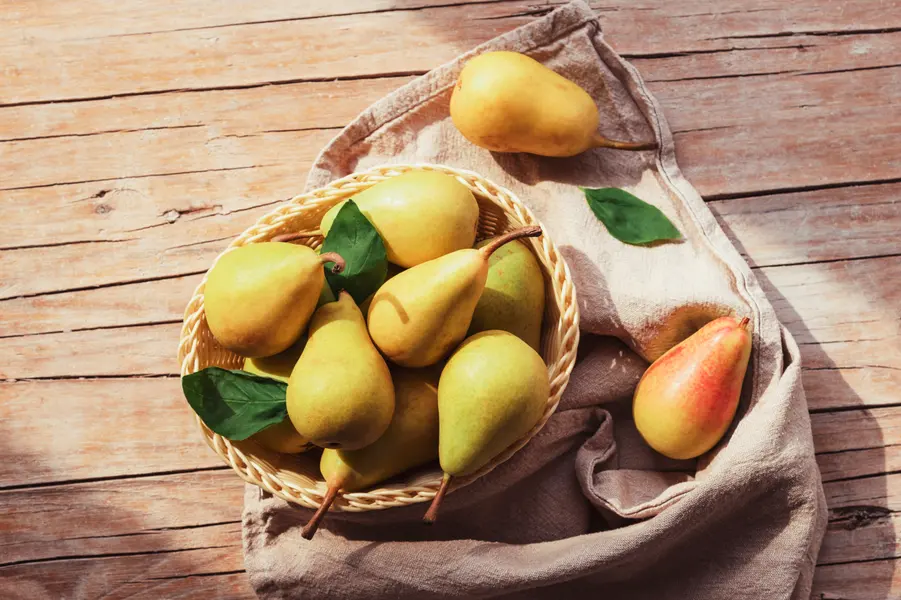Golden Pear Harvest — 200-piece jigsaw puzzle