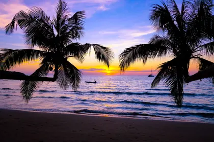 Tropical Sunset Serenade — 200-piece jigsaw puzzle