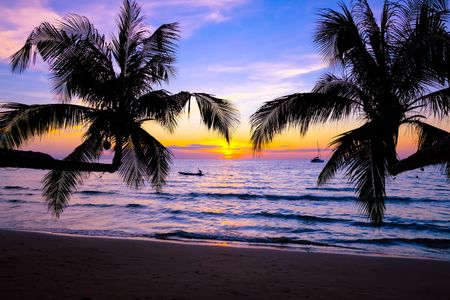 Tropical Sunset Serenade — 200-piece jigsaw puzzle