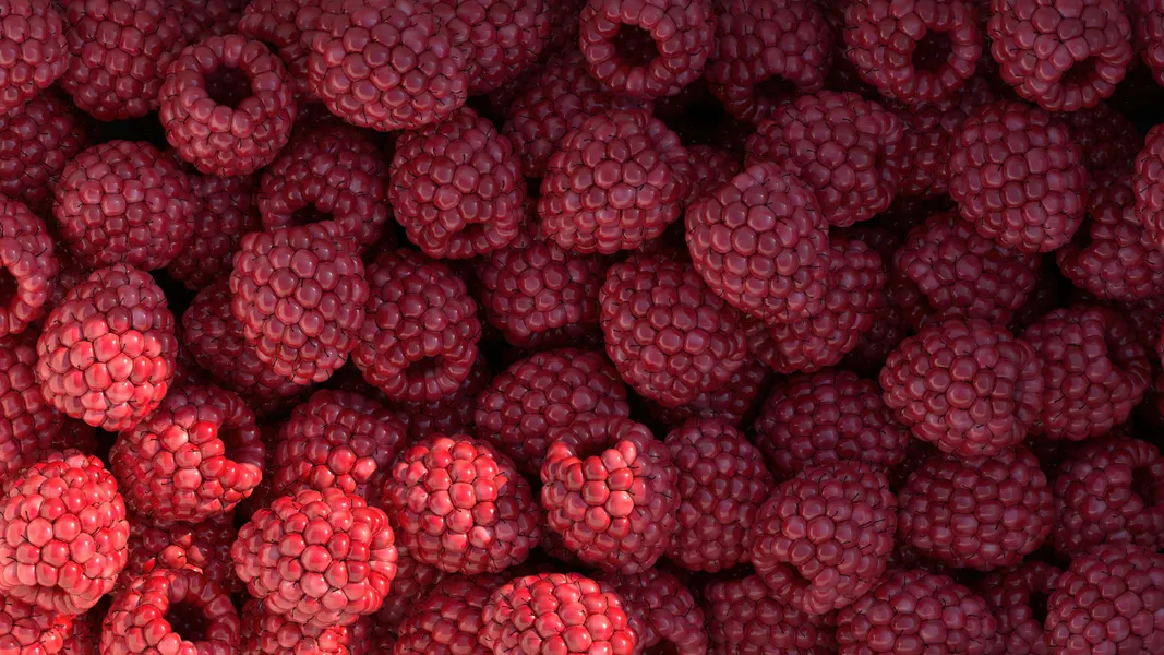 Raspberry Abundance — 300-piece jigsaw puzzle