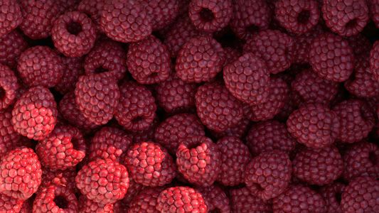 Raspberry Abundance — 300-piece jigsaw puzzle