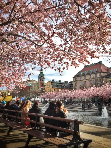 Cherry Blossoms in the City — 200-piece jigsaw puzzle