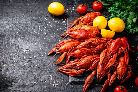 Rustic Seafood Feast — 150-piece jigsaw puzzle