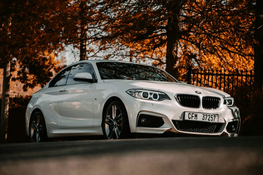 Elegant Autumn Drive — 200-piece jigsaw puzzle