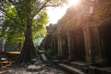 Ancient Temple Serenity — 300-piece jigsaw puzzle