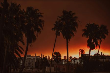 Sunset Urban Silhouette — 150-piece jigsaw puzzle