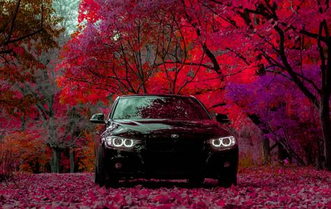 Autumn Drive Elegance — 100-piece jigsaw puzzle
