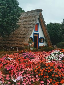 Charming Thatched Cottage — 300-piece jigsaw puzzle