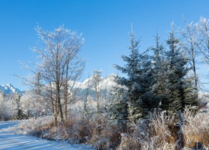 Winter Wonderland Scene — 200-piece jigsaw puzzle