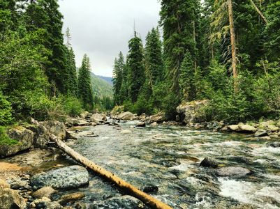 Tranquil Forest Stream — 300-piece jigsaw puzzle